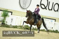 24BUCK_08771 proof