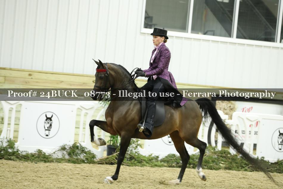 Proof 24BUCK_08773