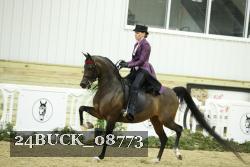 24BUCK_08773 proof