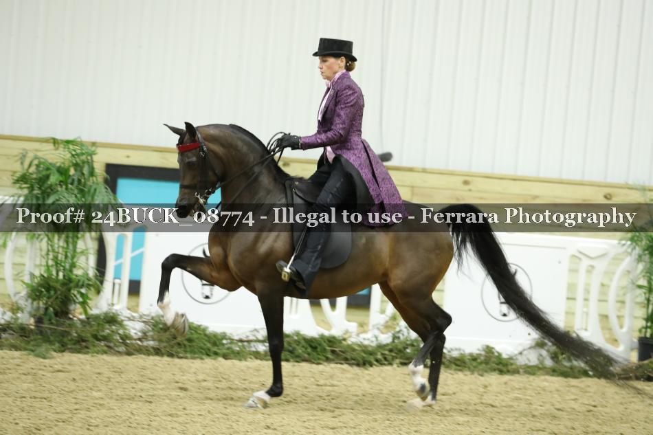 Proof 24BUCK_08774