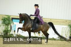 24BUCK_08774 proof