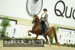 24BUCK_08775 proof