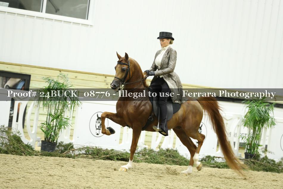 Proof 24BUCK_08776