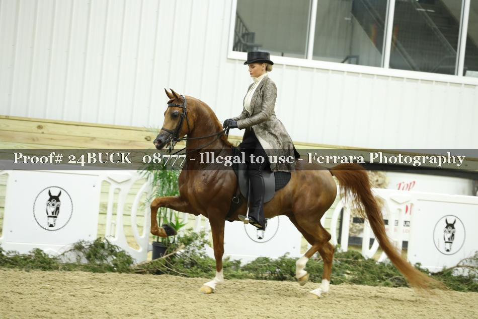 Proof 24BUCK_08777