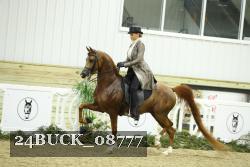 24BUCK_08777 proof