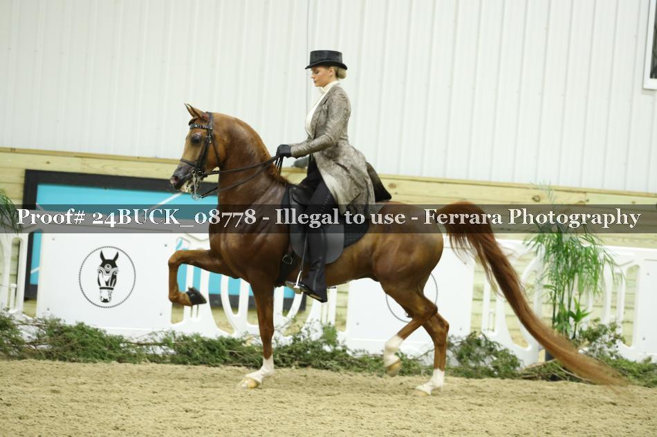 Proof 24BUCK_08778