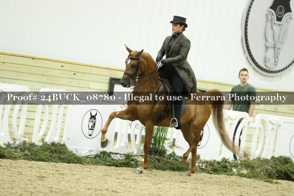 Proof 24BUCK_08780