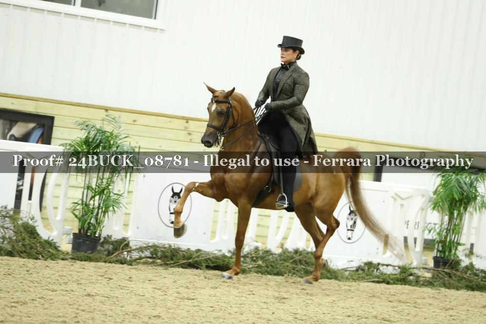Proof 24BUCK_08781