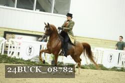 24BUCK_08782 proof