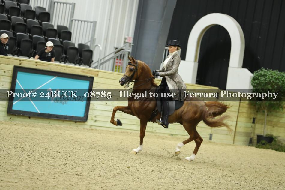 Proof 24BUCK_08785
