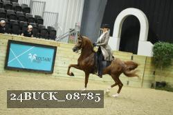24BUCK_08785 proof