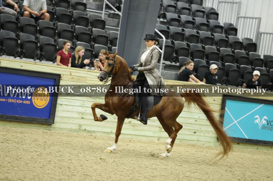 Proof 24BUCK_08786