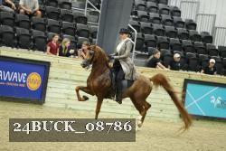 24BUCK_08786 proof