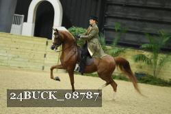 24BUCK_08787 proof