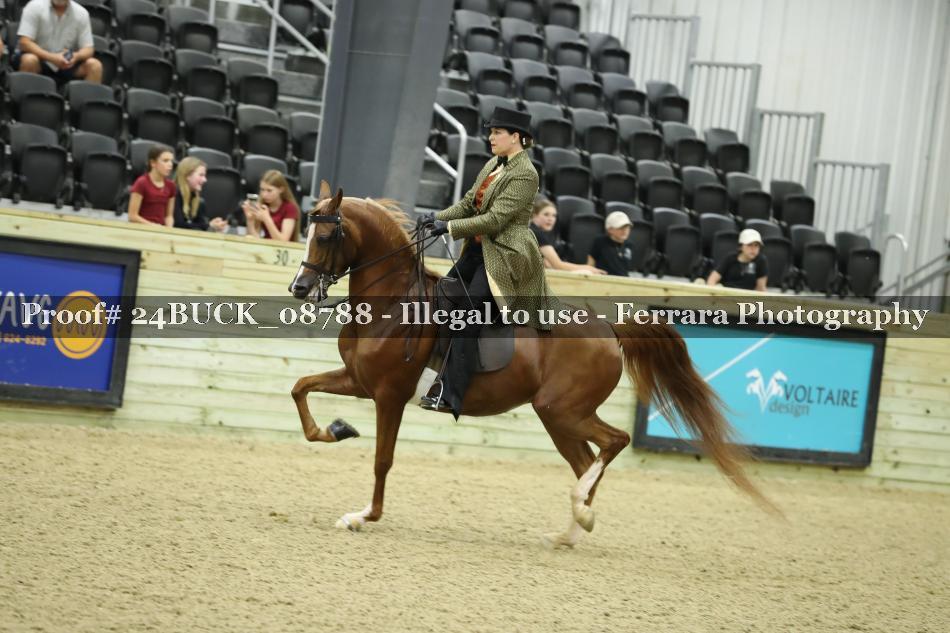 Proof 24BUCK_08788