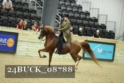 24BUCK_08788 proof