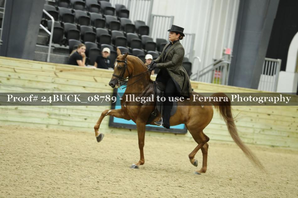 Proof 24BUCK_08789
