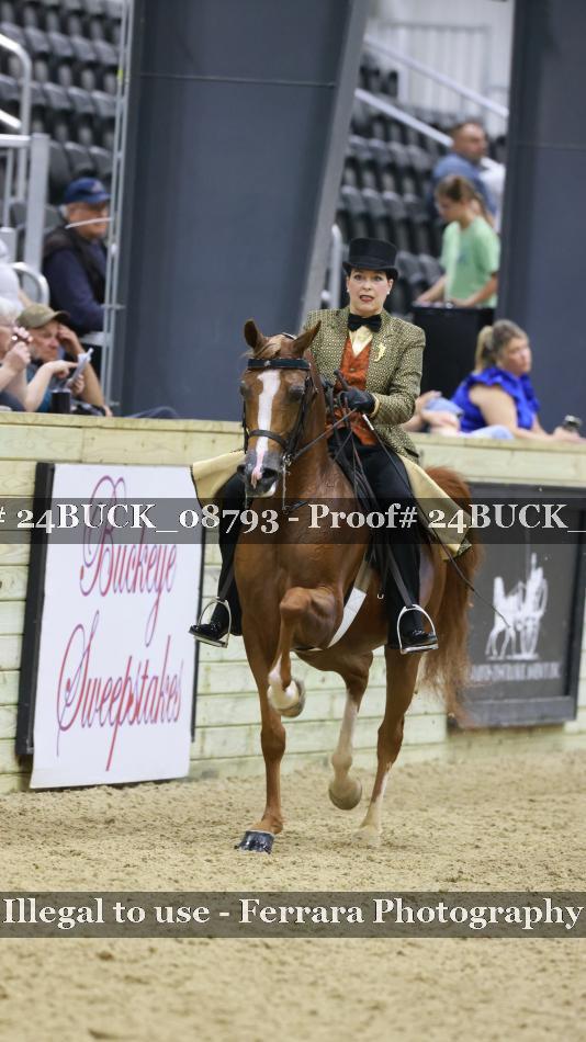 Proof 24BUCK_08793