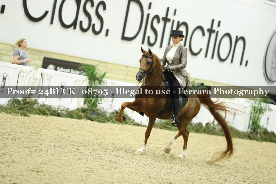 Proof 24BUCK_08795