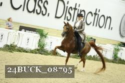 24BUCK_08795 proof