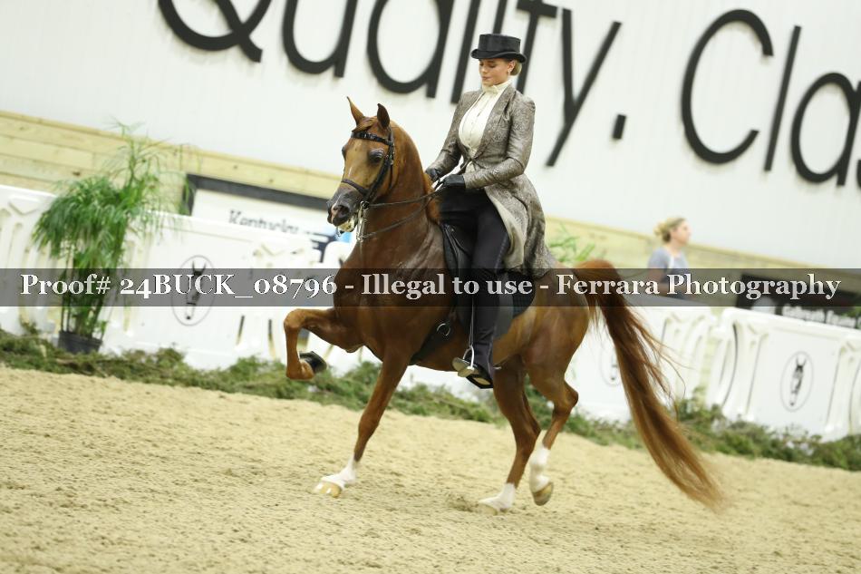 Proof 24BUCK_08796