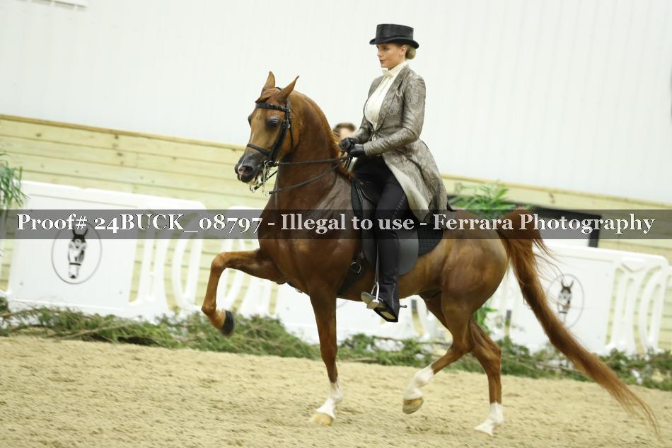 Proof 24BUCK_08797