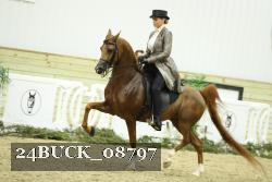 24BUCK_08797 proof