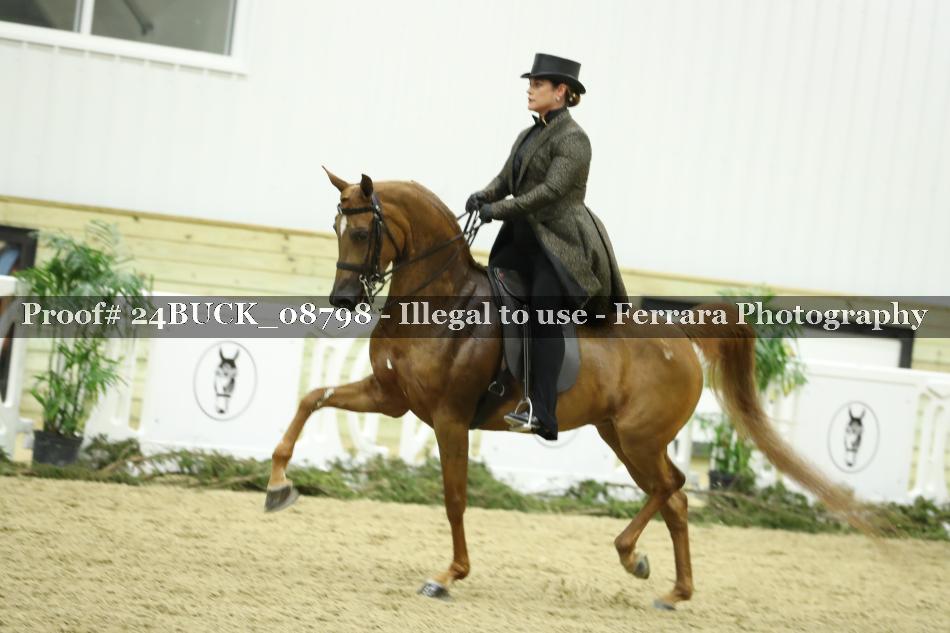 Proof 24BUCK_08798