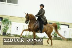 24BUCK_08798 proof