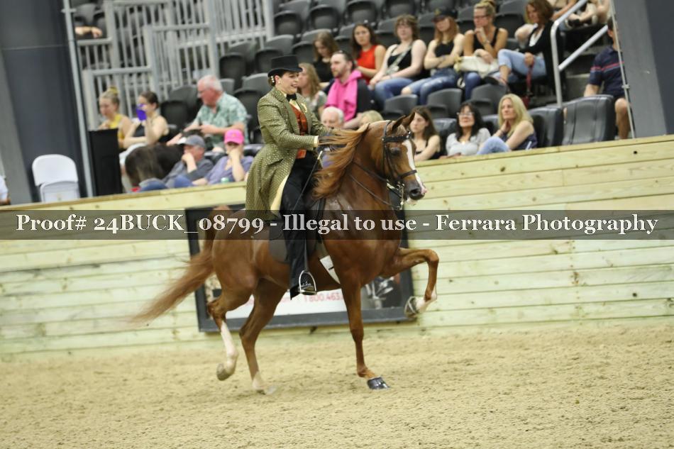 Proof 24BUCK_08799