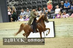 24BUCK_08800 proof