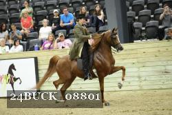 24BUCK_08801 proof