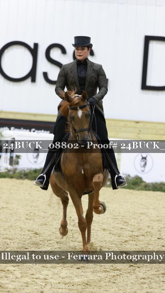 Proof 24BUCK_08802