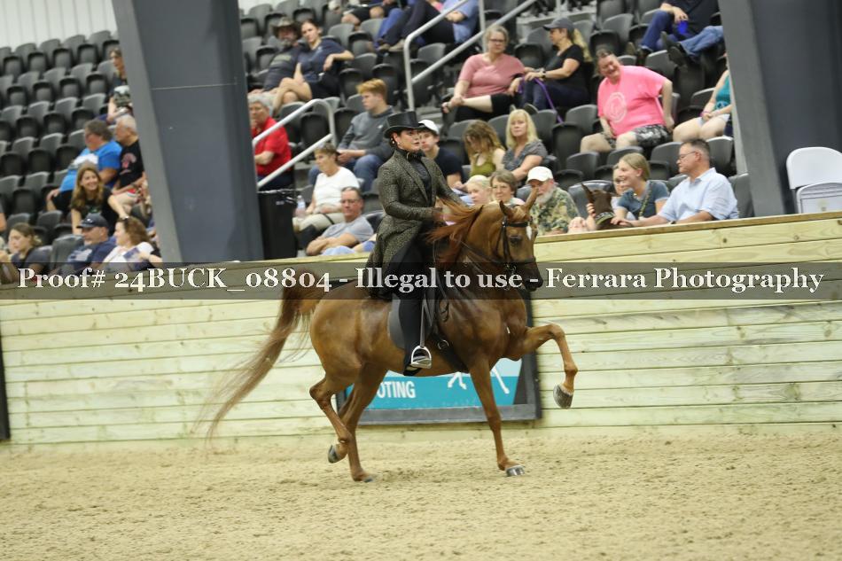 Proof 24BUCK_08804