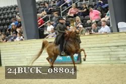 24BUCK_08804 proof
