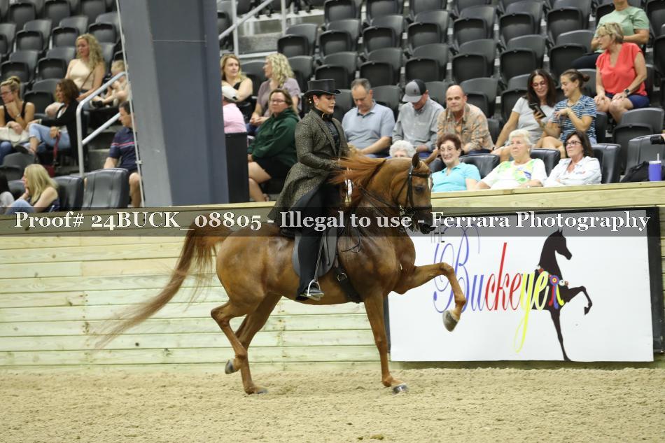 Proof 24BUCK_08805