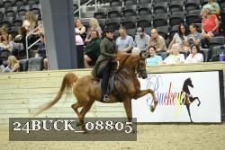 24BUCK_08805 proof