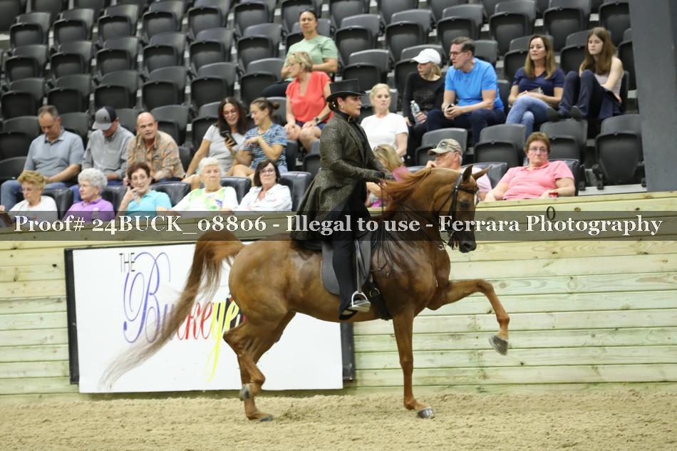 Proof 24BUCK_08806