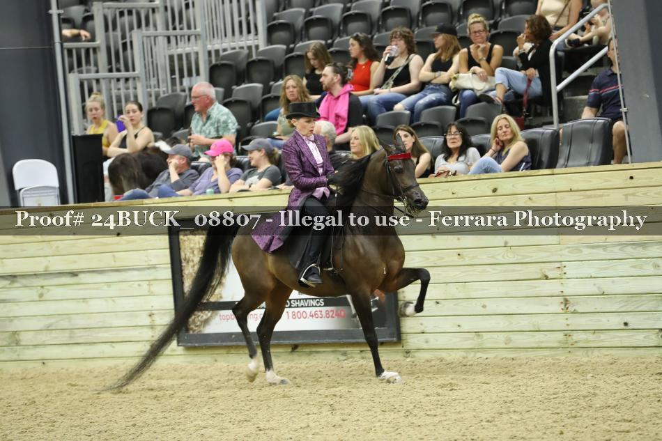 Proof 24BUCK_08807
