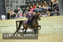 24BUCK_08807 proof