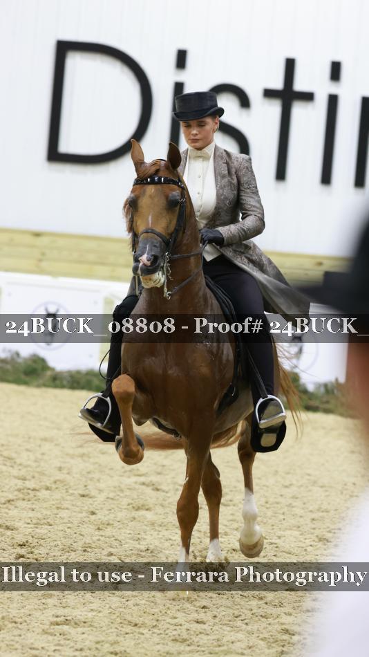 Proof 24BUCK_08808