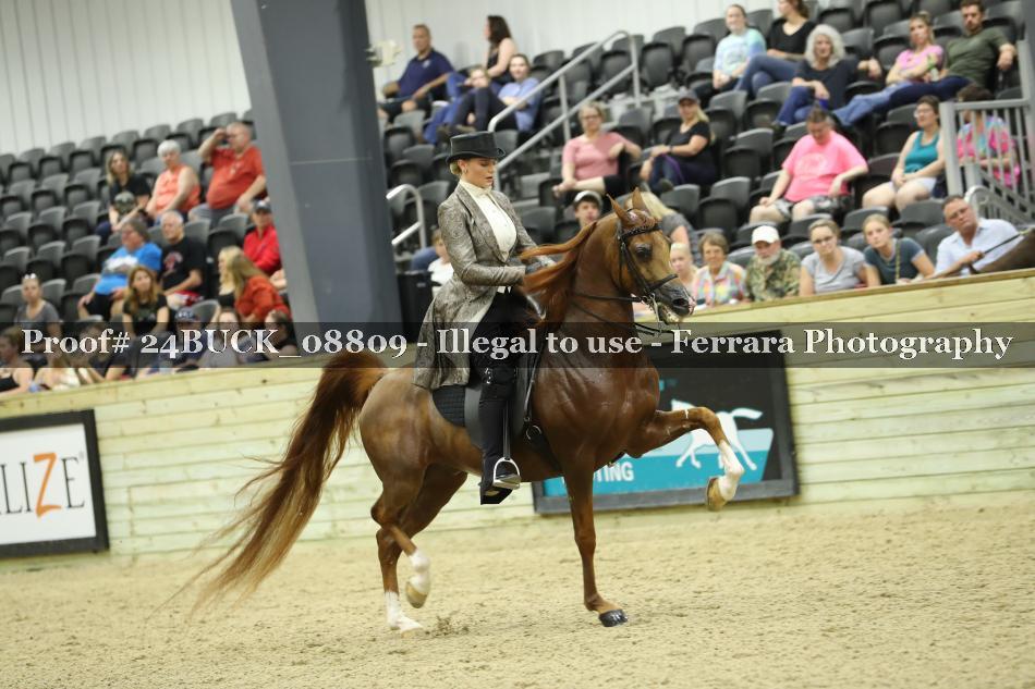 Proof 24BUCK_08809