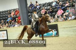 24BUCK_08809 proof