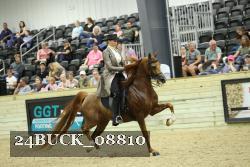 24BUCK_08810 proof