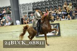 24BUCK_08811 proof