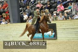 24BUCK_08812 proof