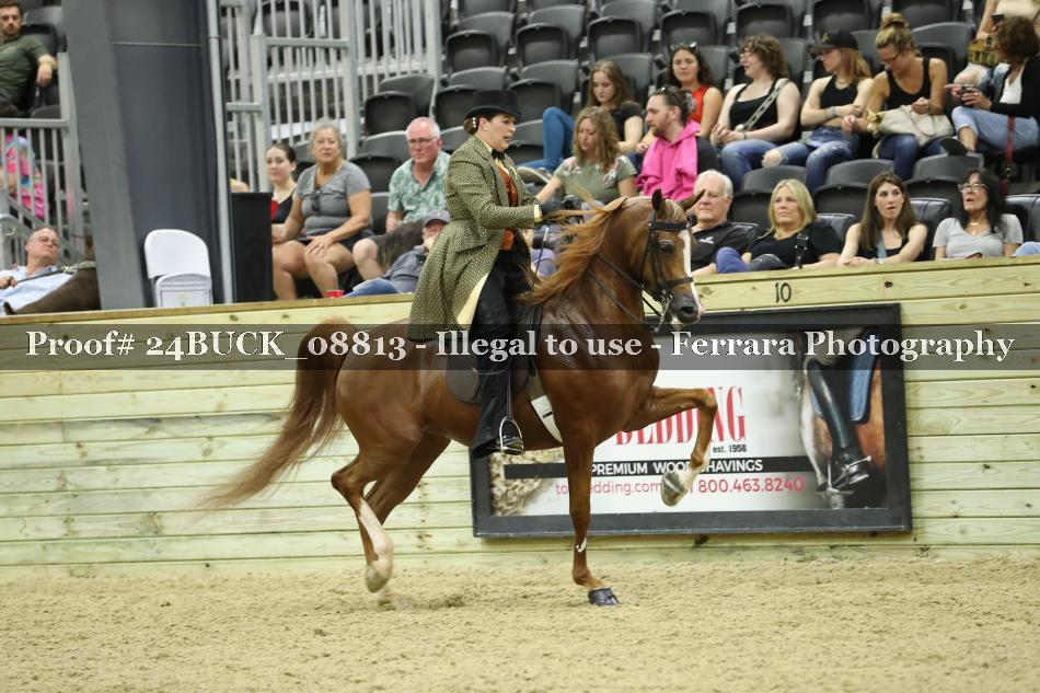 Proof 24BUCK_08813