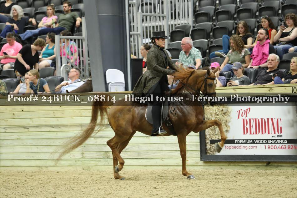 Proof 24BUCK_08814