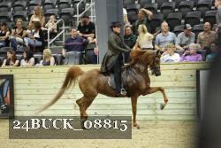 24BUCK_08815 proof