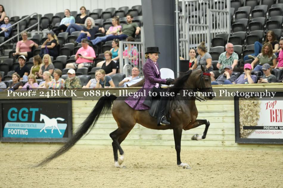 Proof 24BUCK_08816